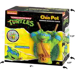 Chia Pet Teenage Mutant Ninja Turtle Decorative Planter Clay 1 pk