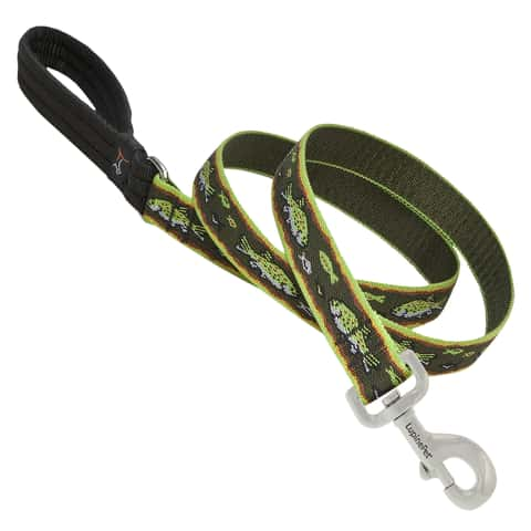 LupinePet Original Designs Multicolor Brook Trout Nylon Dog Leash