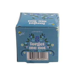 Buzzy Forget Me Not Mini Grow Pot 1 pk