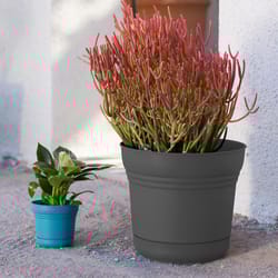 Bloem Saturn 10.75 in. H X 12.25 in. W Polyresin Traditional Planter Charcoal
