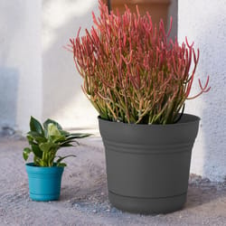 Bloem Saturn 10.75 in. H X 12.25 in. W Polyresin Traditional Planter Charcoal