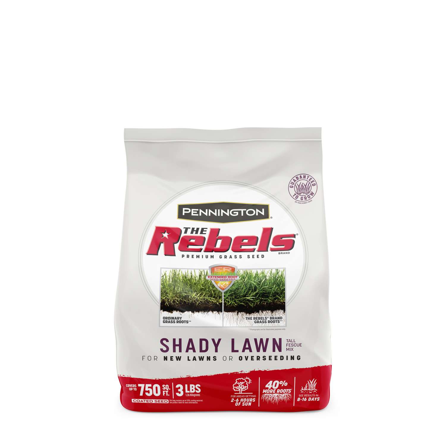 Pennington The Rebels Tall Fescue Sun/Shade Grass Seed 3 lb Ace Hardware