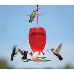 Songbird Essentials Hummingbird 10 oz Plastic Hummingbird Nectar Bird Feeder 3 ports