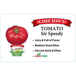 Chef Jeff Red Sir Speedy Tomato Vegetable Plant