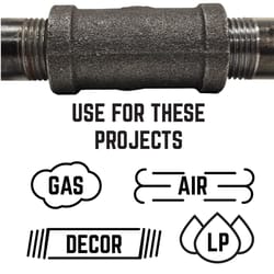 STZ Industries 2-1/2 in. MIP each X 2 in. D FIP each Black Malleable Iron Hex Bushing