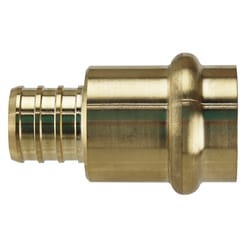 Apollo PEX 3/4 in. PEX Barb in to X 3/4 in. D Press Brass Adapter