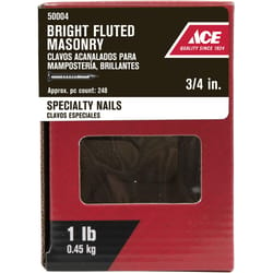 Ace 3/4 in. Masonry Bright Steel Nail Flat Head 1 lb