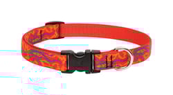LupinePet Original Designs Multicolor Go Go Gecko Nylon Dog Adjustable Collar