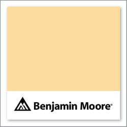 Benjamin Moore Suntan Yellow 2155-50