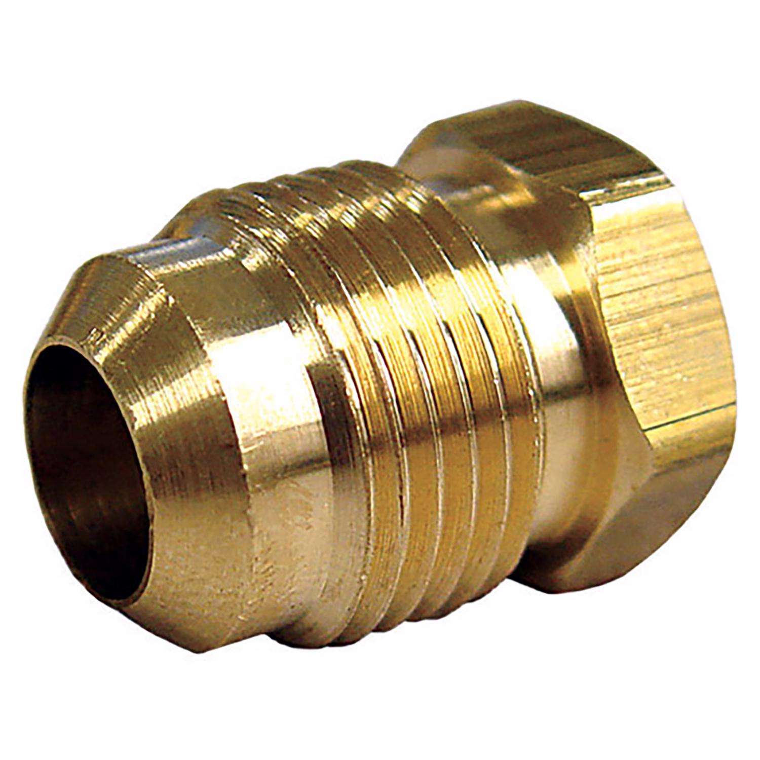 1/2 in. Flare Brass Hex Plug Ace Hardware