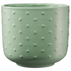 SK 4.7 in. H X 5.1 in. D Clay Baku Pearl Ceramic Pot Green