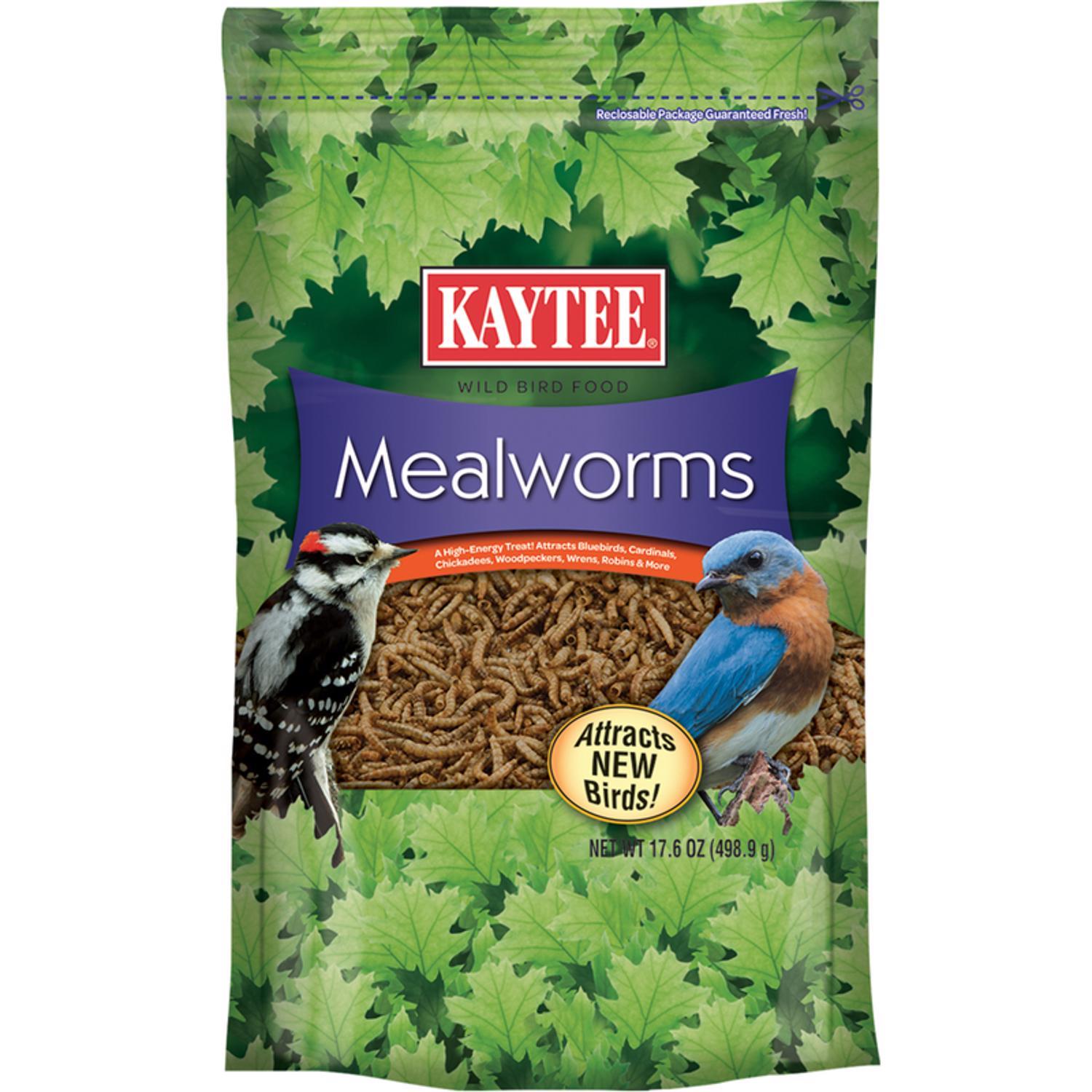 DMF Bait Co Meal Worms Fishing Bait - Ace Hardware