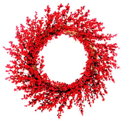 Celebrations 22 in. D Red Cranberry Wreath