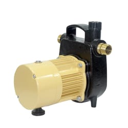 K2 Pumps 1/2 HP 1500 gph Cast Iron Switchless Switch Top AC Transfer Pump