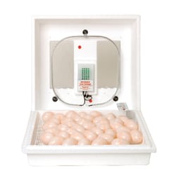 Little Giant Plastic Egg Incubator