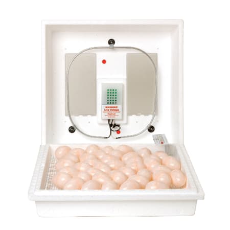 Little Giant Incubator Thermometer Kit