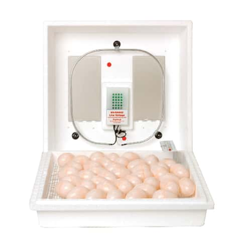 Incubator Warehouse Digital Egg Scale - Accurate Humidity Measurement and Egg Sizing