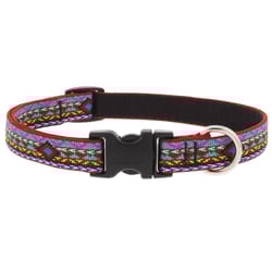 LupinePet Original Designs Multicolor El Paso Nylon Dog Adjustable Collar