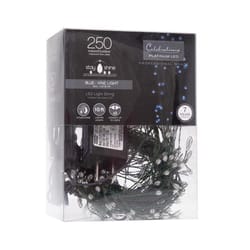 Celebrations LED Big Seed Cluster Blue 250 ct String Christmas Lights 10 ft.