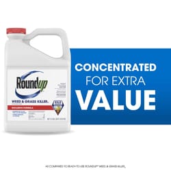 Roundup Weed and Grass Killer Concentrate 2.5 gal