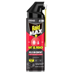 Raid Insect Killer Aerosol 14.5 oz