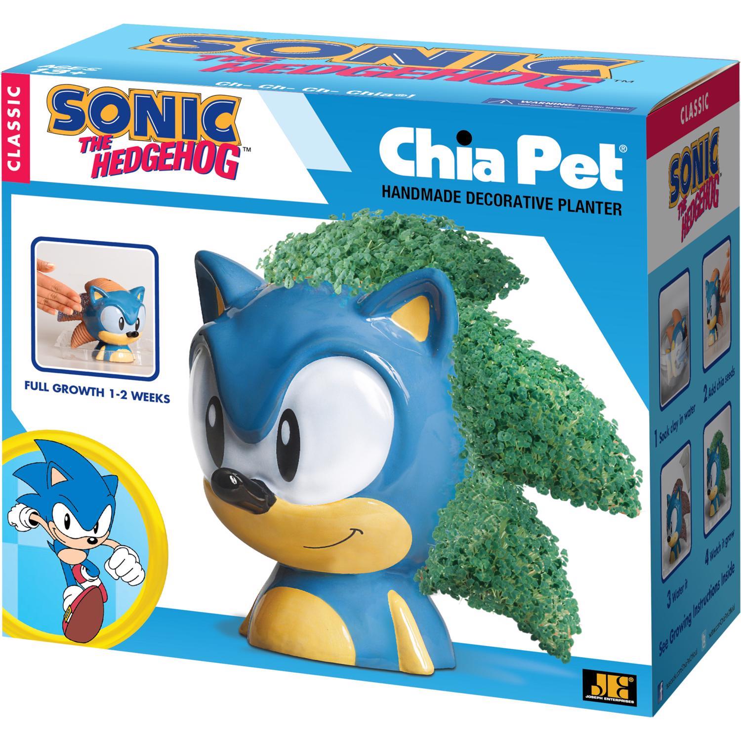 Chia Pet Sonic the Hedgehog Decorative Planter Clay 1 pk