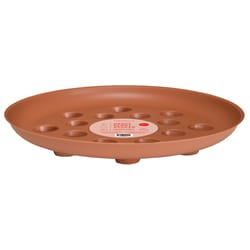 Curtis Wagner Plastics 1.5 in. H X 12 in. D Plastic Plant Saucer Terracotta