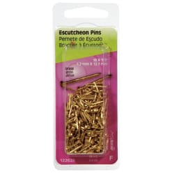 HILLMAN 18 Ga. X 1/2 in. L Brass Escutcheon Pins 1 pk 2 oz