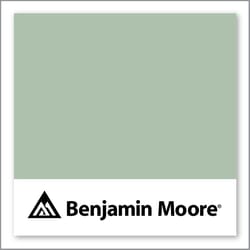 Benjamin Moore Pine Forest 451