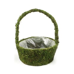 SuperMoss Deco 13.8 in. H X 4.7 in. D X 11.2 in. D Wire Arroyo Planter Green