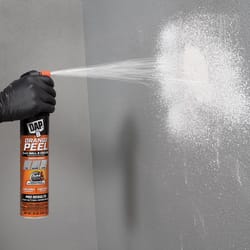 DAP White Water-Based Orange Peel Spray Texture 25 oz