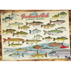 Cobble Hill freshwater Fish of North America Jigsaw Puzzle 1000 pc