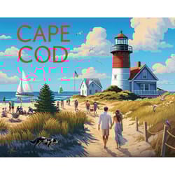 Boardwalk Iconic Places Cape Cod Jigsaw Puzzle Multicolored 500 pc
