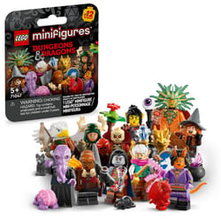 LEGO Dungeons & Dragon Minifigures Multicolored 9 pc