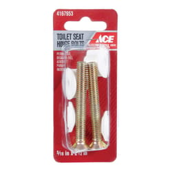 Ace Toilet Seat Hinge Bolts Plated Brass For Universal