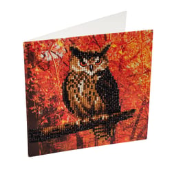 Crystal Art Craft Buddy Autumn Owl Craft Card Kit Multicolored