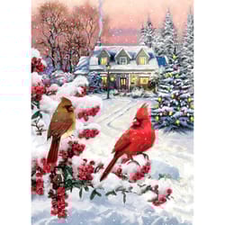 Eurographics Cardinal Pair Jigsaw Puzzles Multicolored 1000 pc