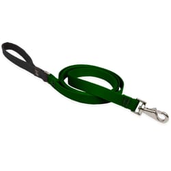 Lupine Pet Basic Solids Green Green Nylon Dog Leash