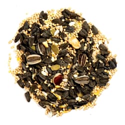 Nature's Nuts XtremeClean Assorted Species Black Oil Sunflower Wild Bird Food 4 lb