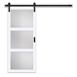 Renin 84 in. H X 36 in. W X 1-3/8 in. Barn Door