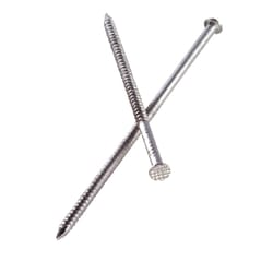 Simpson Strong-Tie 4D 1-1/2 in. Siding Stainless Steel Nail Round Head 1 lb