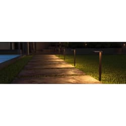 Nebo LED Espresso All-Weather Metal 500 Lm. Low Voltage Landscape Spot Light  - Wagner Hardware