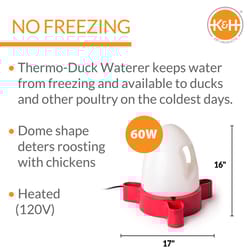 K&H Pet Prodcuts 120 V Fount Heater Base For Game Birds/Poultry