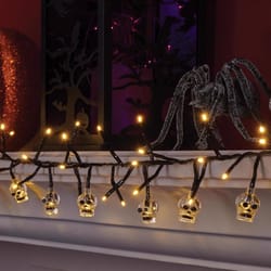 Celebrations Warm White 120 ct 9 ft. LED Prelit Skull Lights