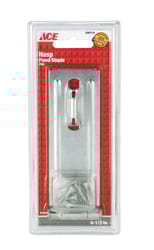 Ace Zinc 4-1/2 in. L Fixed Staple Safety Hasp 1 pk