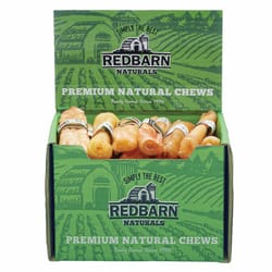 Redbarn Collagen Grain Free Soft Chew Beef Stick For Dogs 0.6 oz 1 pk