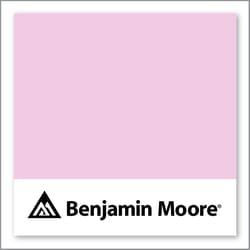 Benjamin Moore Dog's Ear 2076-60