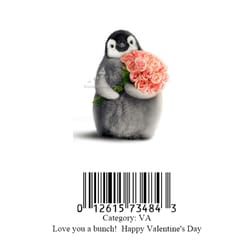 Avanti Press Penguin With Flower Bouquet Greeting Cards Paper 1 pk