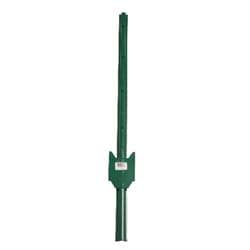 American Posts .5 in. H X 1.25 in. W X 3 ft. L 14 Ga. Powder Coated Green steel U-Post