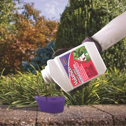 Bonide Malathion Insect Killer Liquid Concentrate 16 oz